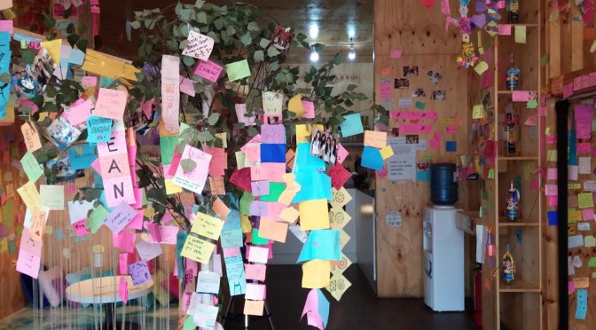 Cafe Namoo provides different cafe experience