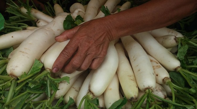 Cebu delicacies sold in one place during August