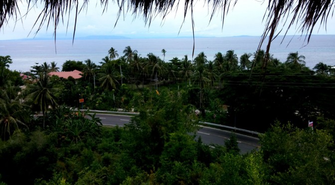 Lunch at Bodos Bamboo Bar Resort, Alcoy