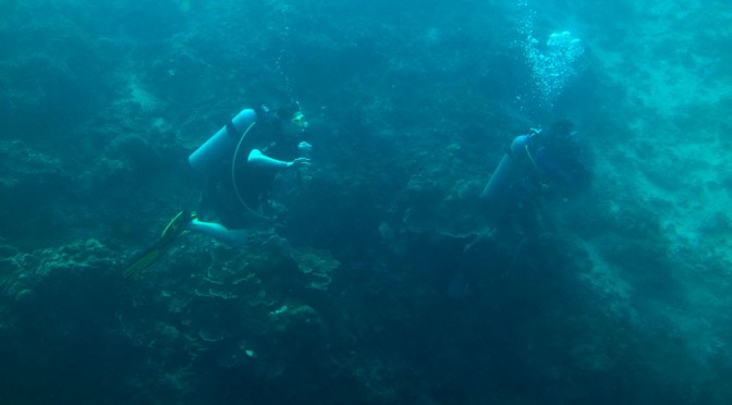 Cebu Yellow Submarine now operates from Hadsan