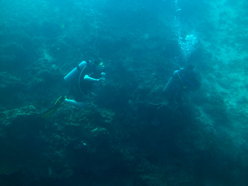 Cebu Yellow Submarine now operates from Hadsan