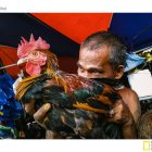 A man and his rooster in a local market in Cebu.