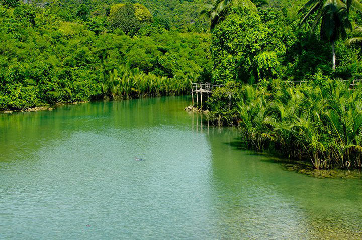 NATURE RESERVE. The Bojo River Nature Reserve covers an area that includes the 1.4 kilometer-long Bojo River Nature Reserve and the surrounding environment that serves as home to 61 bird species and remarkable native flora. (Photo by Boboi Costas)