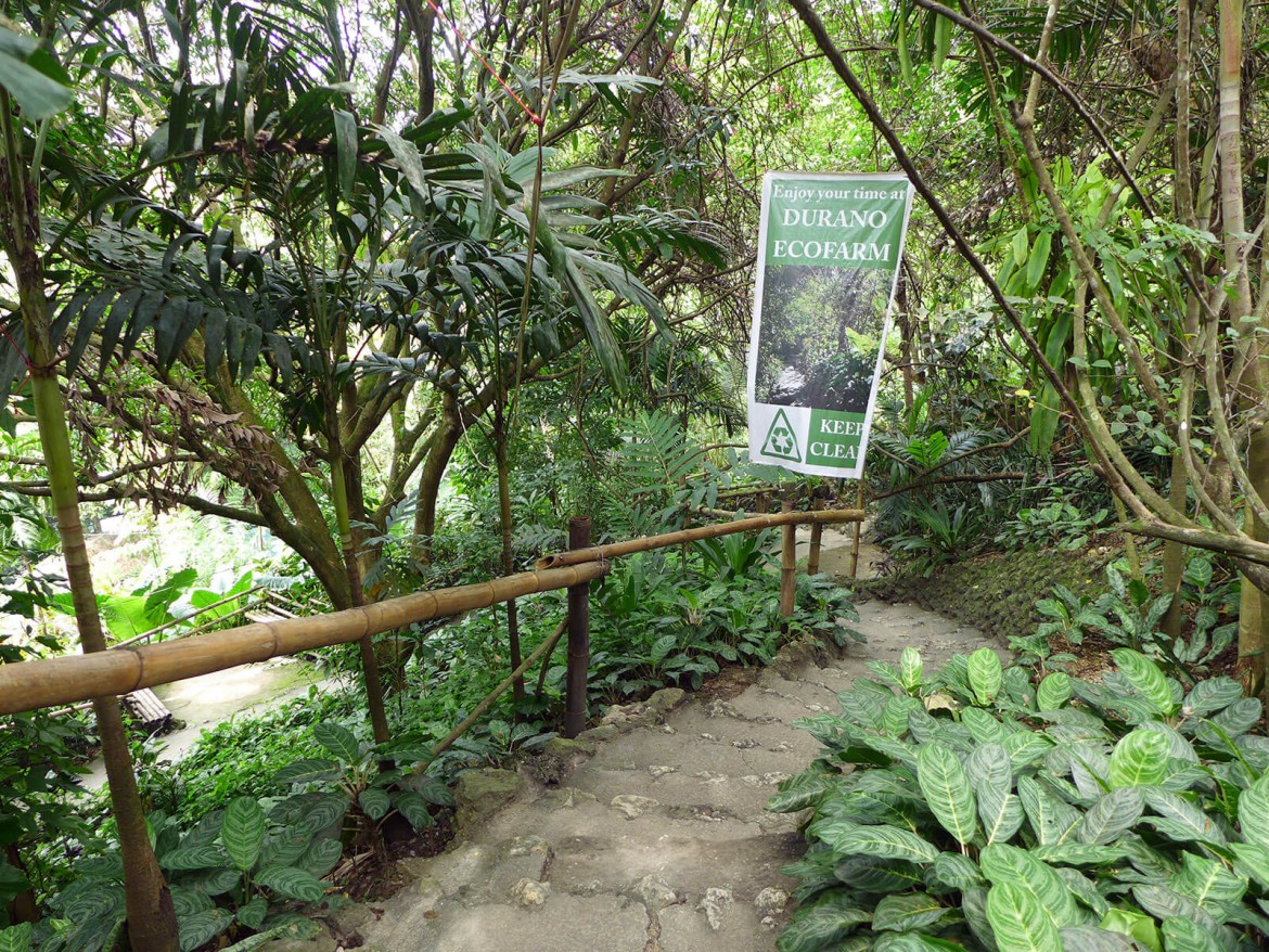 Durano Eco Farm and Spring Resort