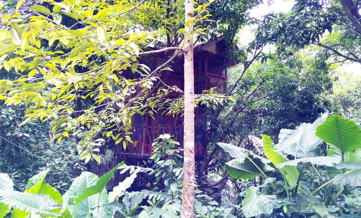Durano Eco Farm and Spring Resort tree house