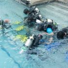 Diving lessons