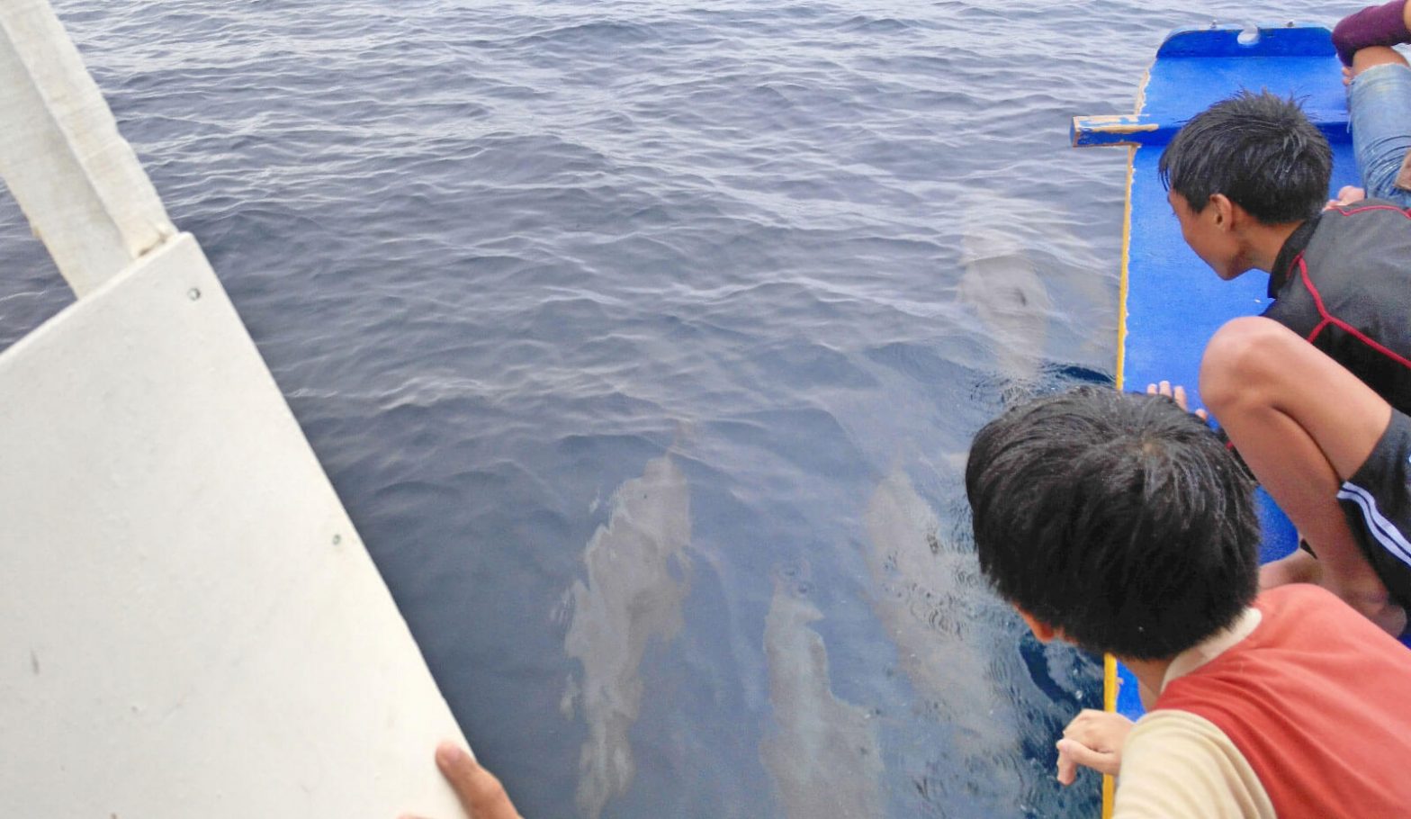 Pescador Island adventure: dolphins, marine beauty make up for the “sharks”