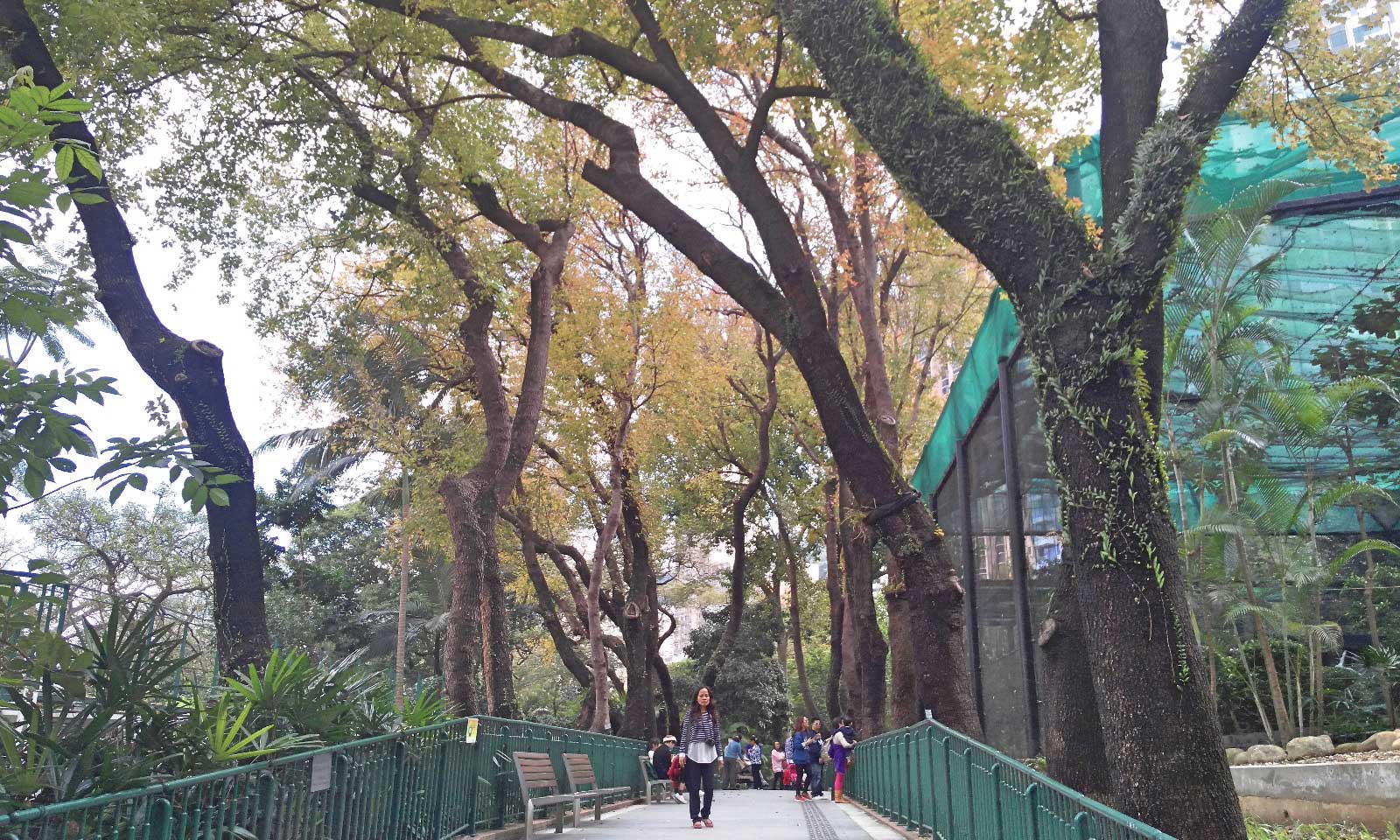 Hong Kong Zoological and Botanical Gardens