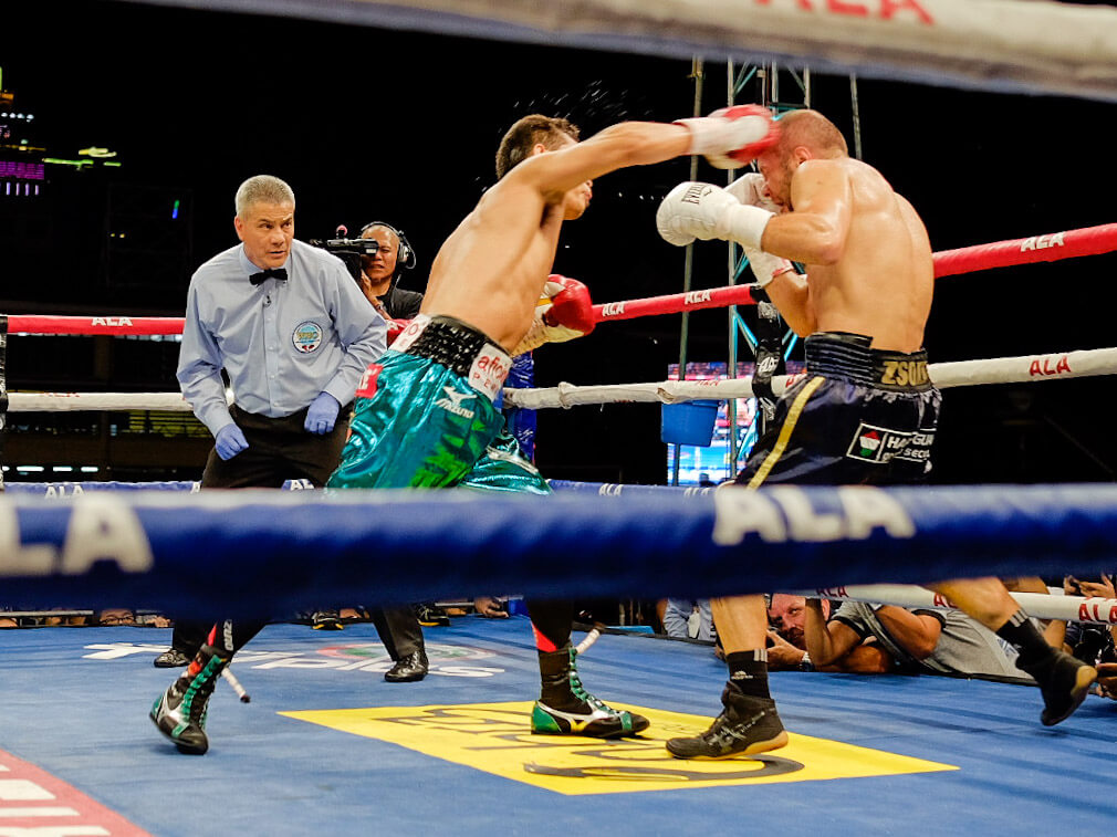 Nonito Donaire knocks out Zsolt Bedak