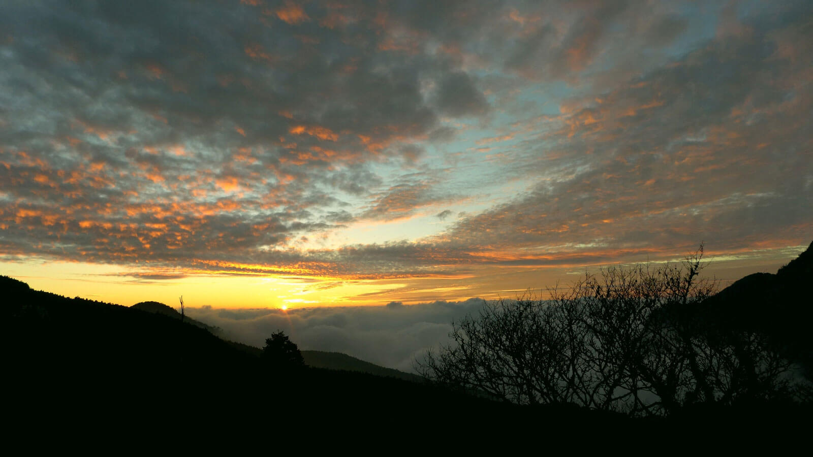 Alishan sunset