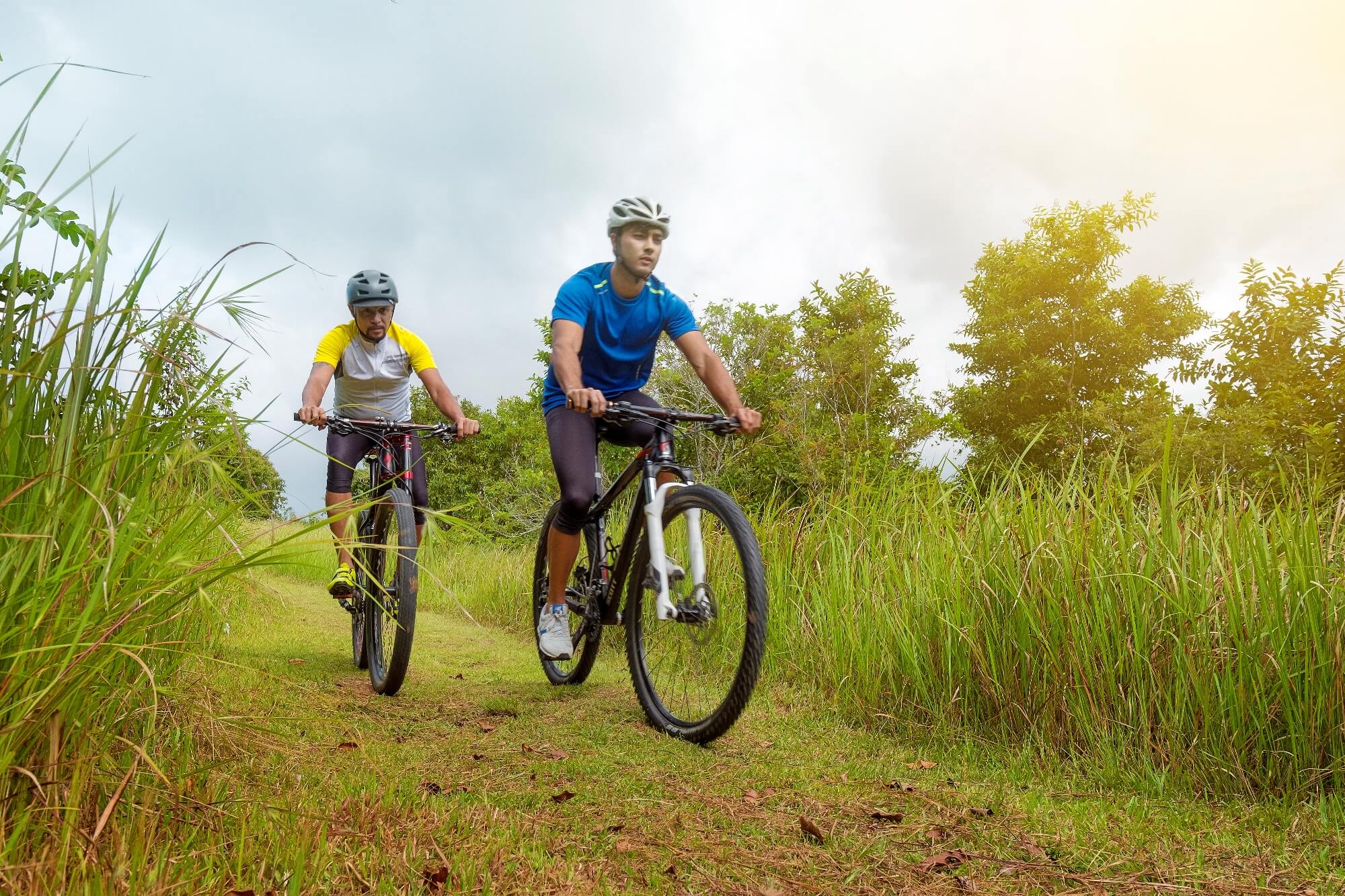 Foressa Trails Bike Trails