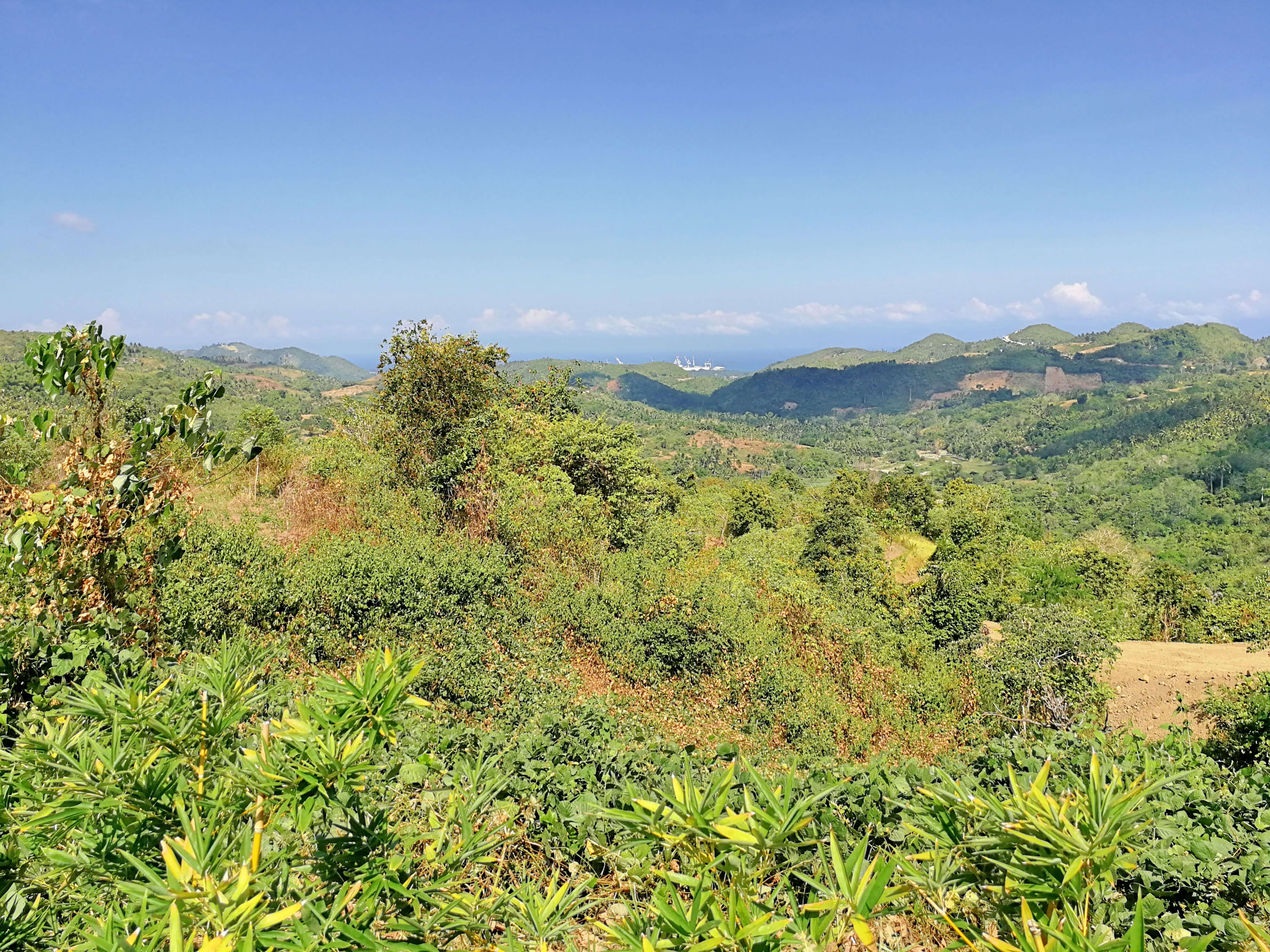 Foressa Mountain Town