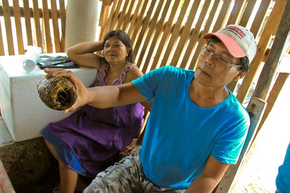 Cordova Bakasi