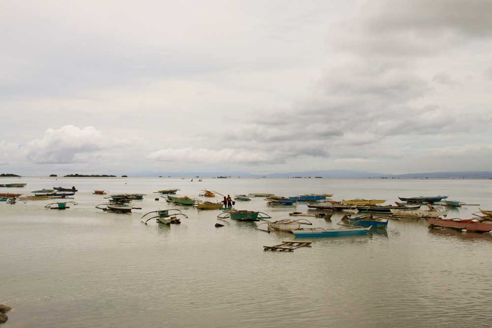 Cordova Bakasi