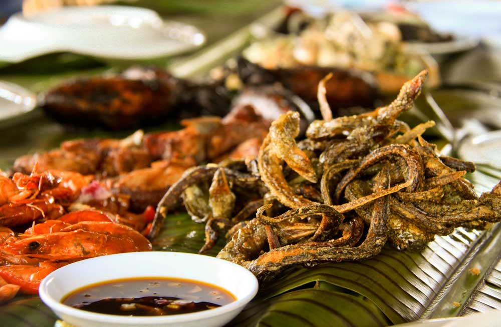 Cordova Bakasi