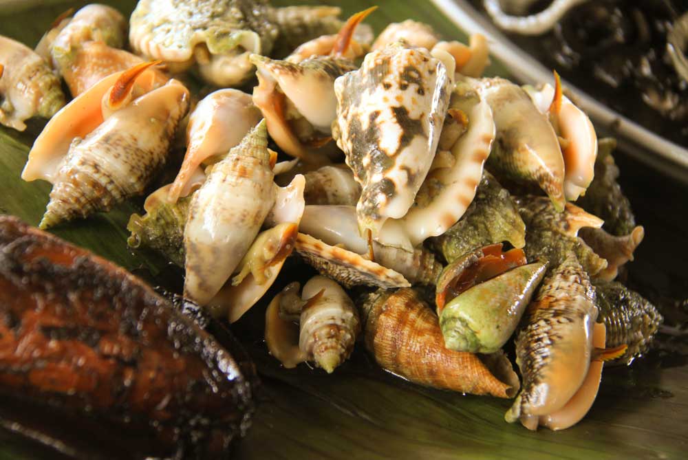 Cordova Bakasi