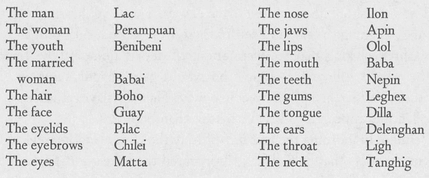 Antonio Pigafetta Bisaya Glossary