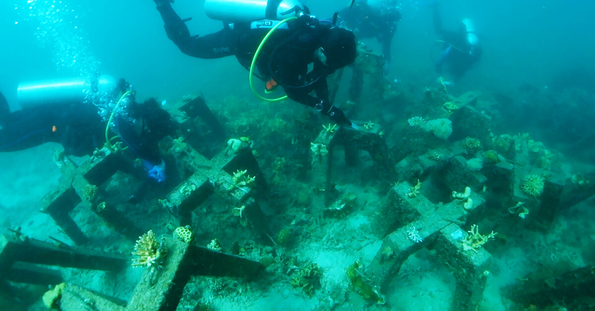 An artificial, concrete reef to provide support for unstable coral fragments underwater is implemented by Accenture, Intel and Sulubaaï Environmental Foundation in the coral reef surrounding the Pangatalan Island in the Philippines.