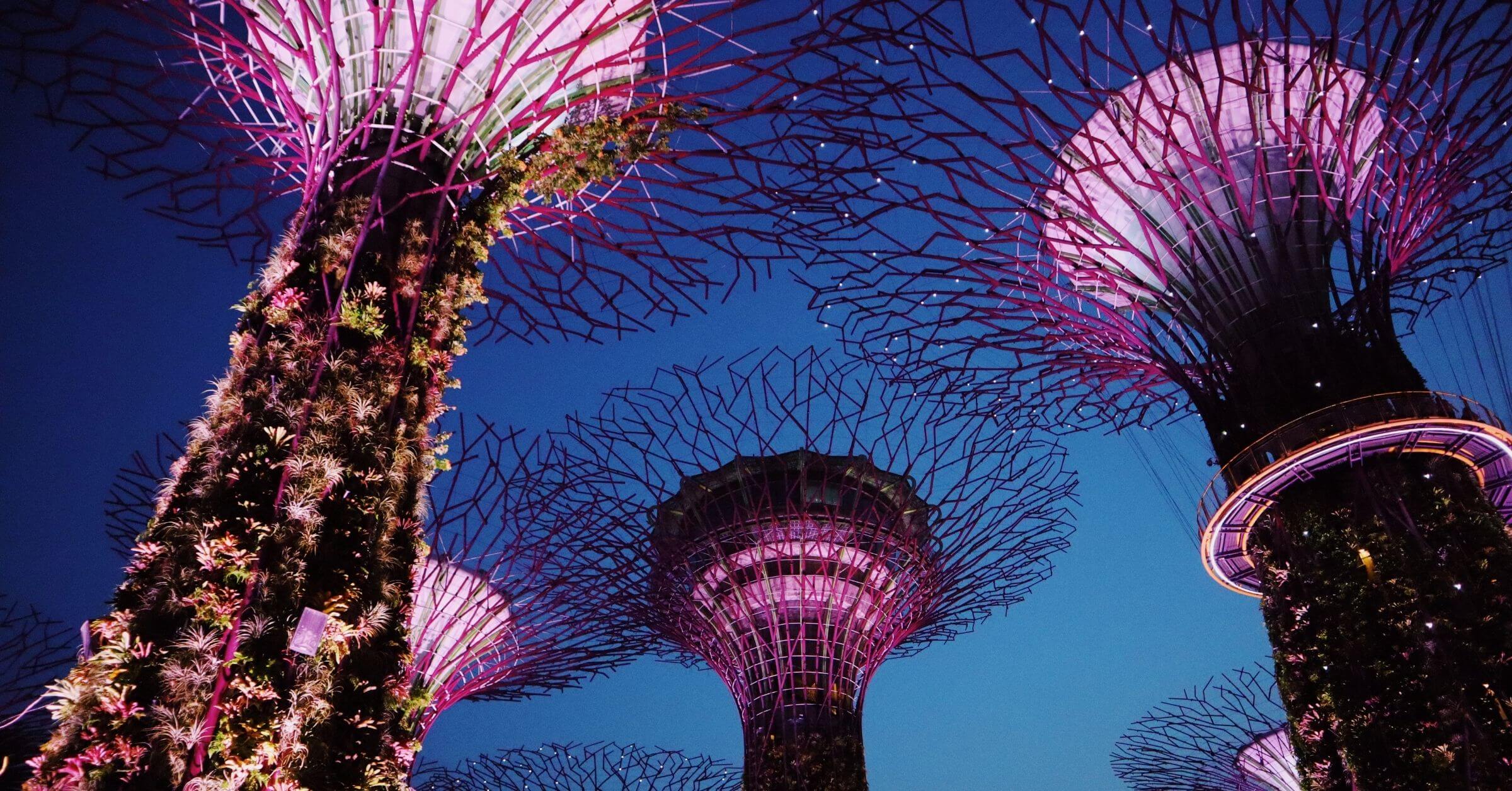 Cebu Pacific, Singapore Tourism Board strengthen partnership to encourage Juans to visit Singapore