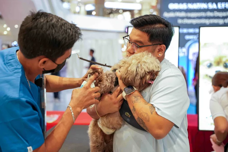 In the photo there is a veterinarian injecting a puppt while their owner holds them on the event grounds of Puppy & Kitten Con